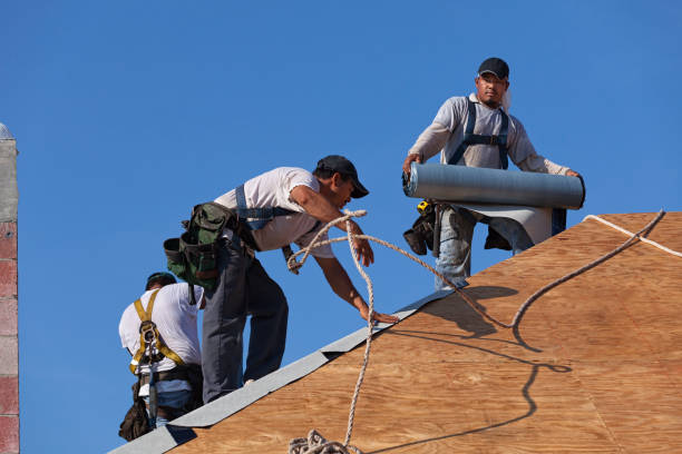 Best Storm Damage Roof Repair  in Rocky Point, NC